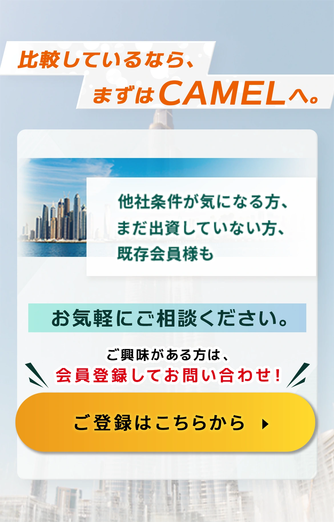 セクション5